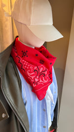 Afbeelding in Gallery-weergave laden, Sjaal/ PAISLEY
