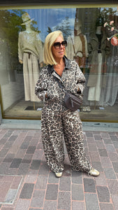 Ballerbroek leopard/ DELPHI